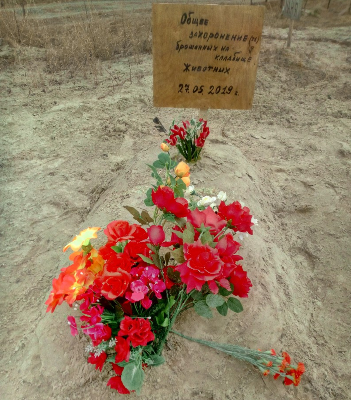 Закопать соперницы на кладбище