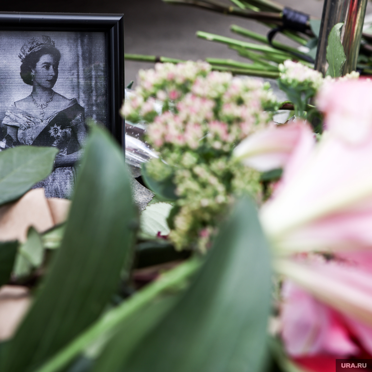 фото похорон лизы