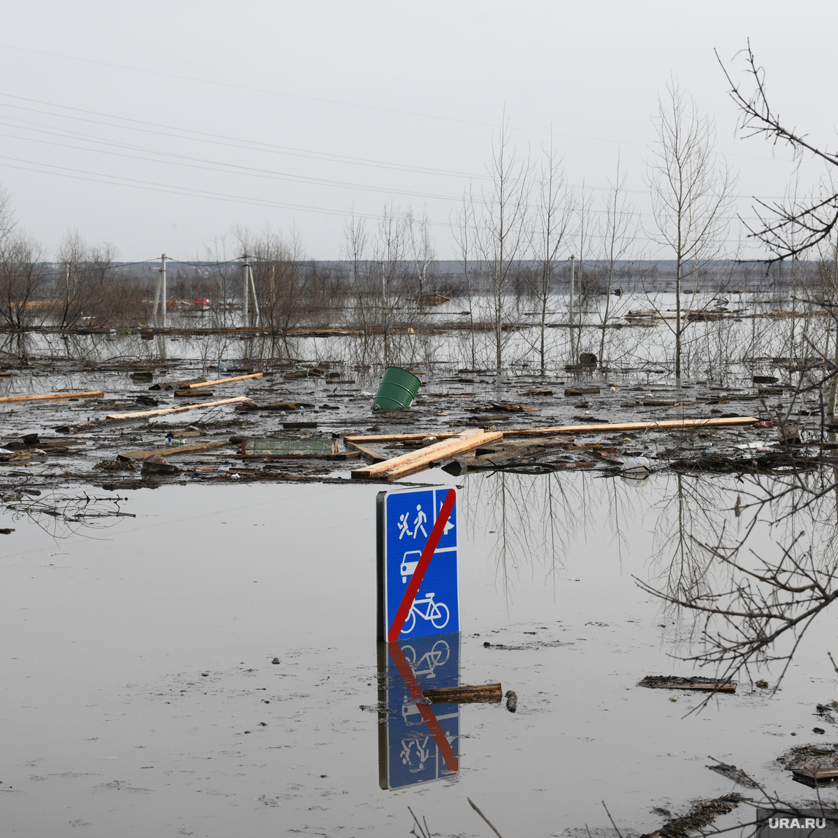 Паводок в Кургане 2024: прогноз по уровню воды от МЧС