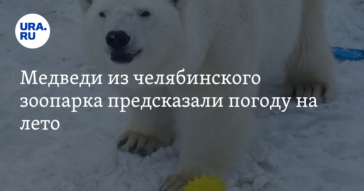 Лето 2019 на урале картинки Лето 2019 на урале картинки