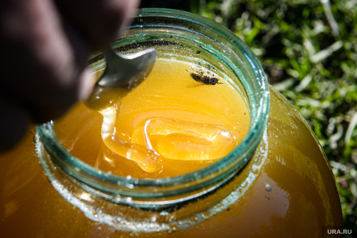 Нектар жизни. Ядовитый мед. Токтогульский мёд. Натуральный мёд как его будет запах.