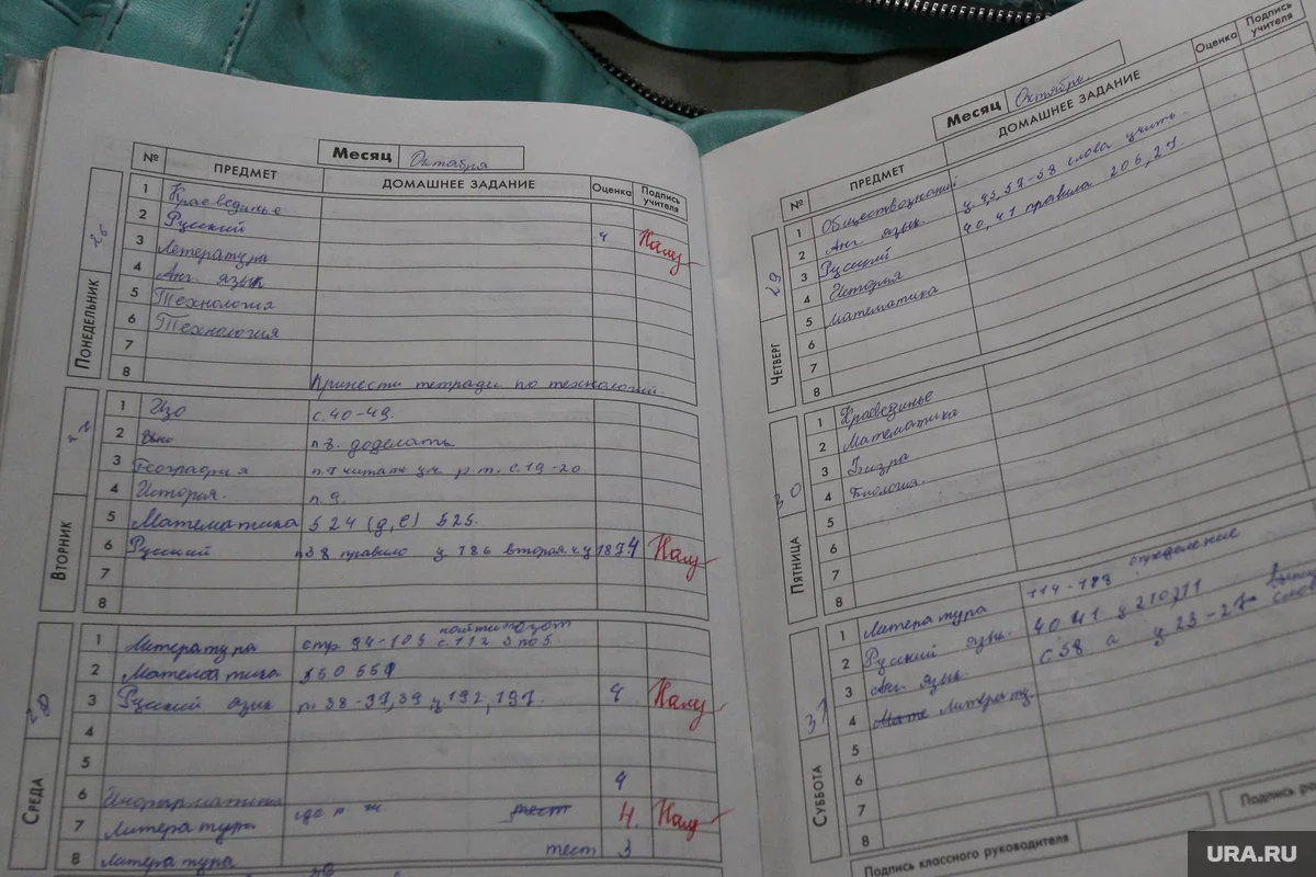 Дневник с пятерками за четверть. Оценка 2 в дневнике. Дневник для школьников. Дневник с дз. Фото оценок в дневнике.