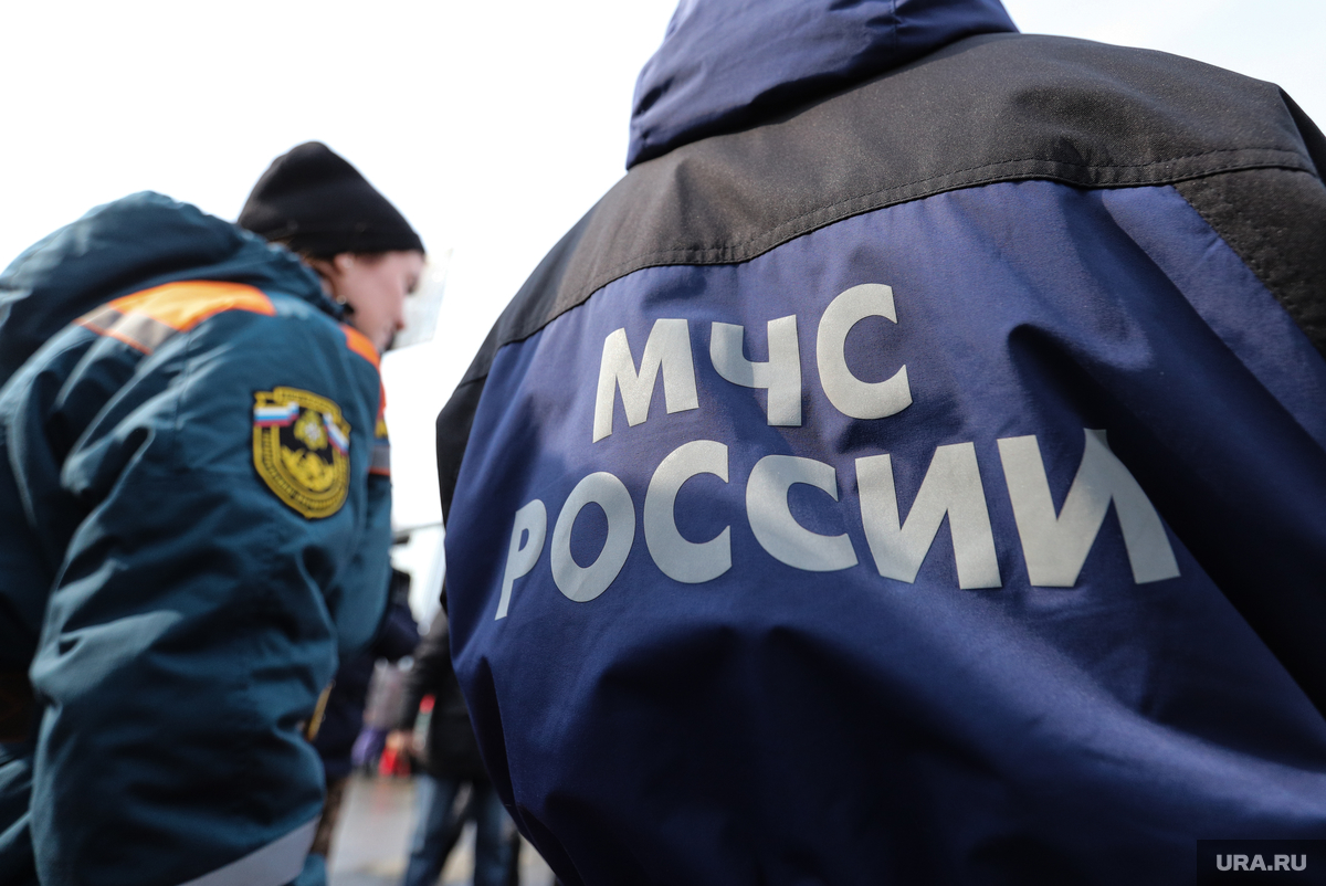 Спасательная операция на месте крушения самолета L-410 в Татарстане продолжается