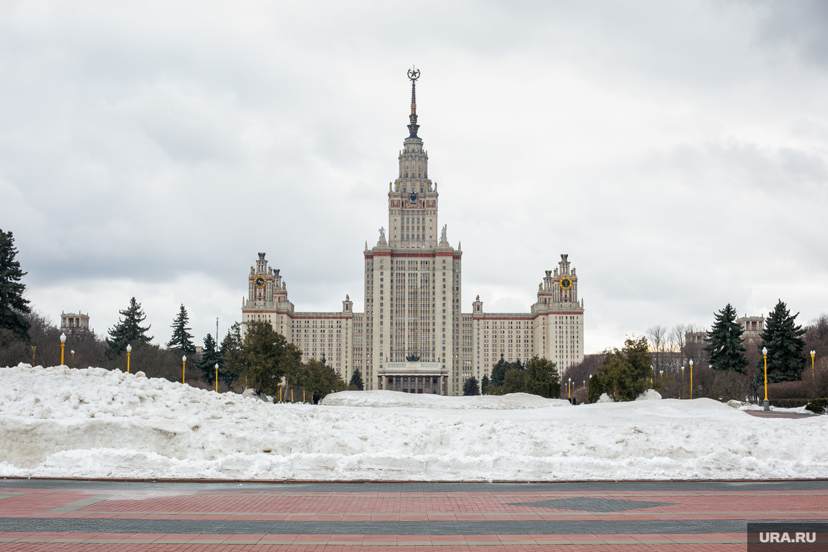В 9 лет Алиса Теплякова учится в МГУ и проводит консультации за 50 000 рублей