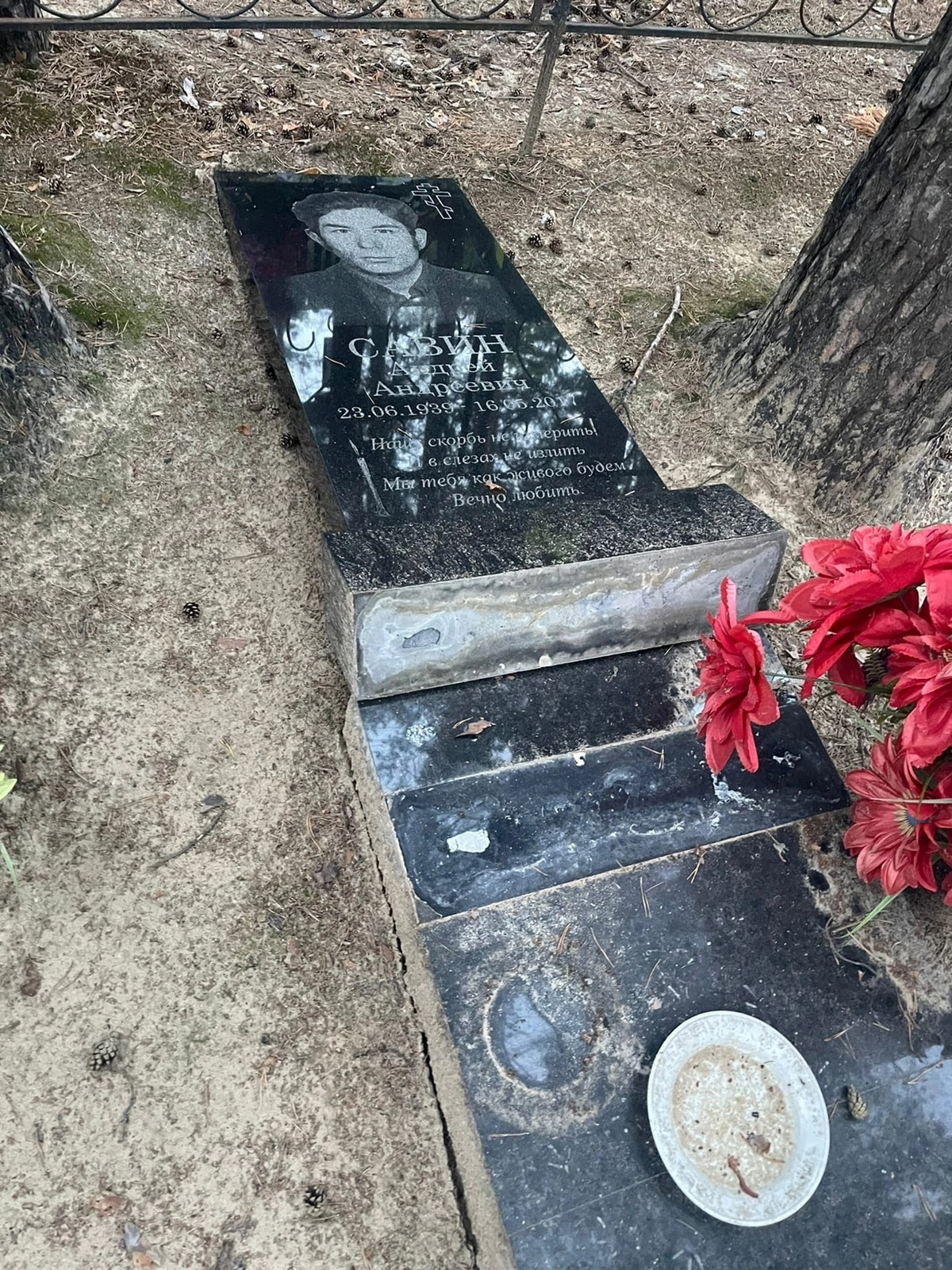 приносят цветы на могилу солдата к разбитому доту фото 105