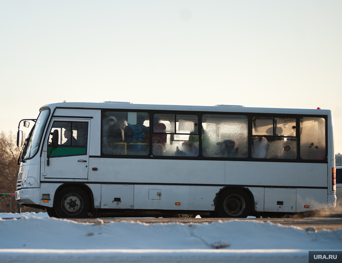 Автобусы вернутся на маршруты 11 января