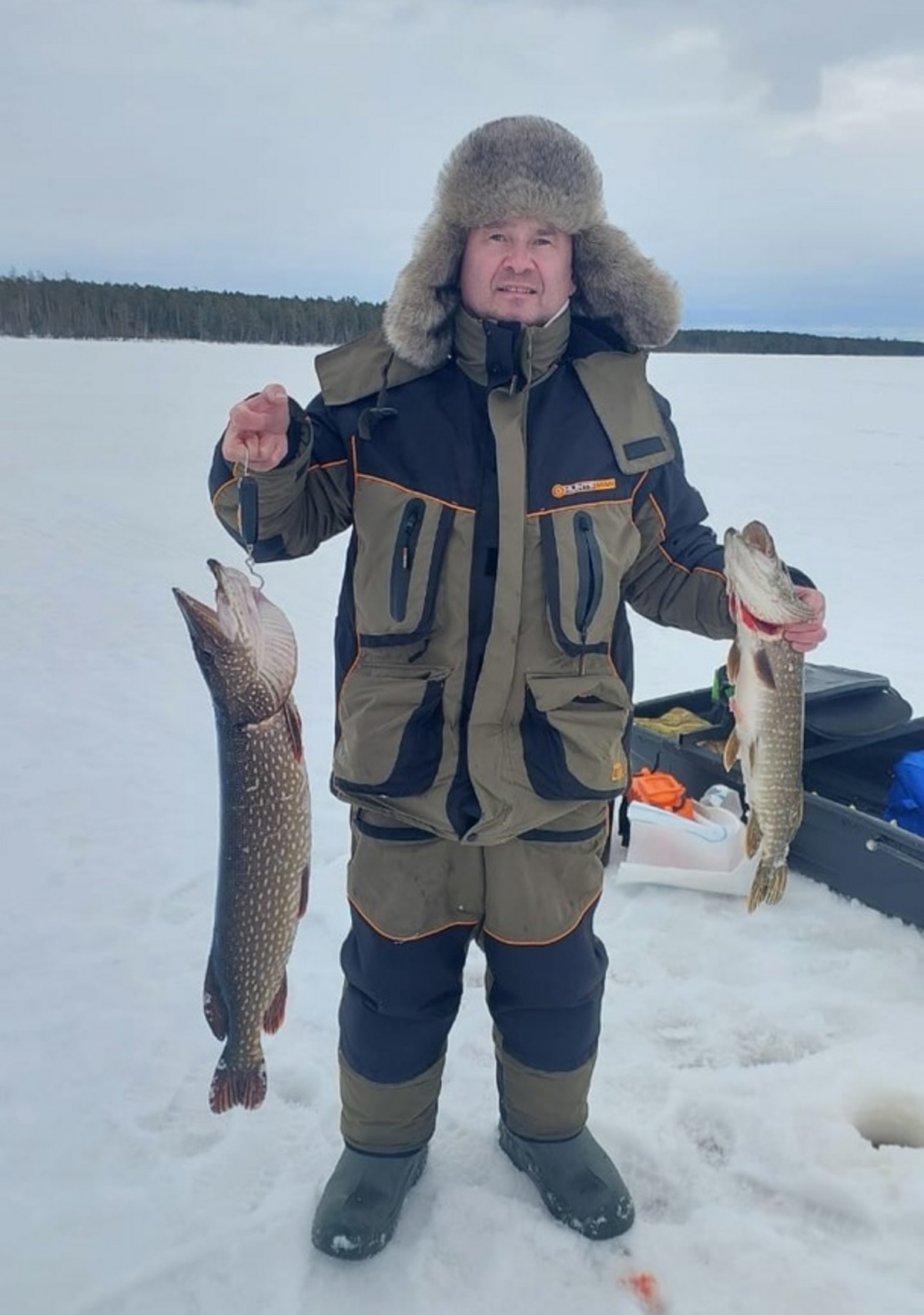 Села в щуке. Щука в деревне. Щука фото. Ловля щуки. Села в щуке.