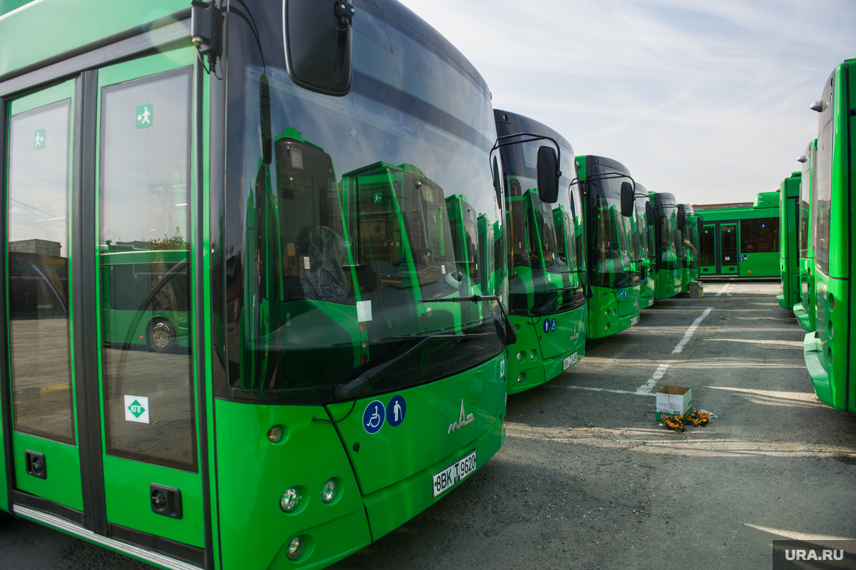 Екатеринбург получит десятки разных автобусов