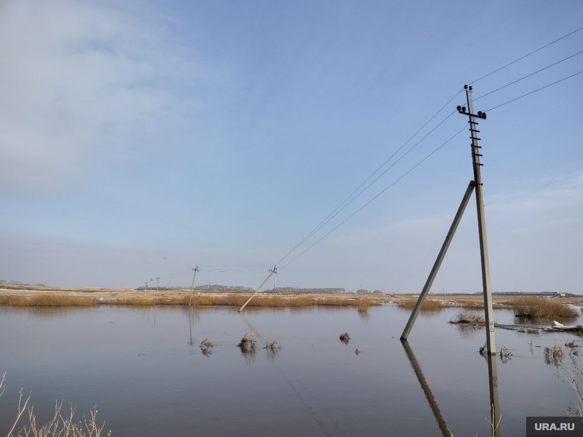 В СНТ «Железнодорожник» остаются подтопленными садовые участки