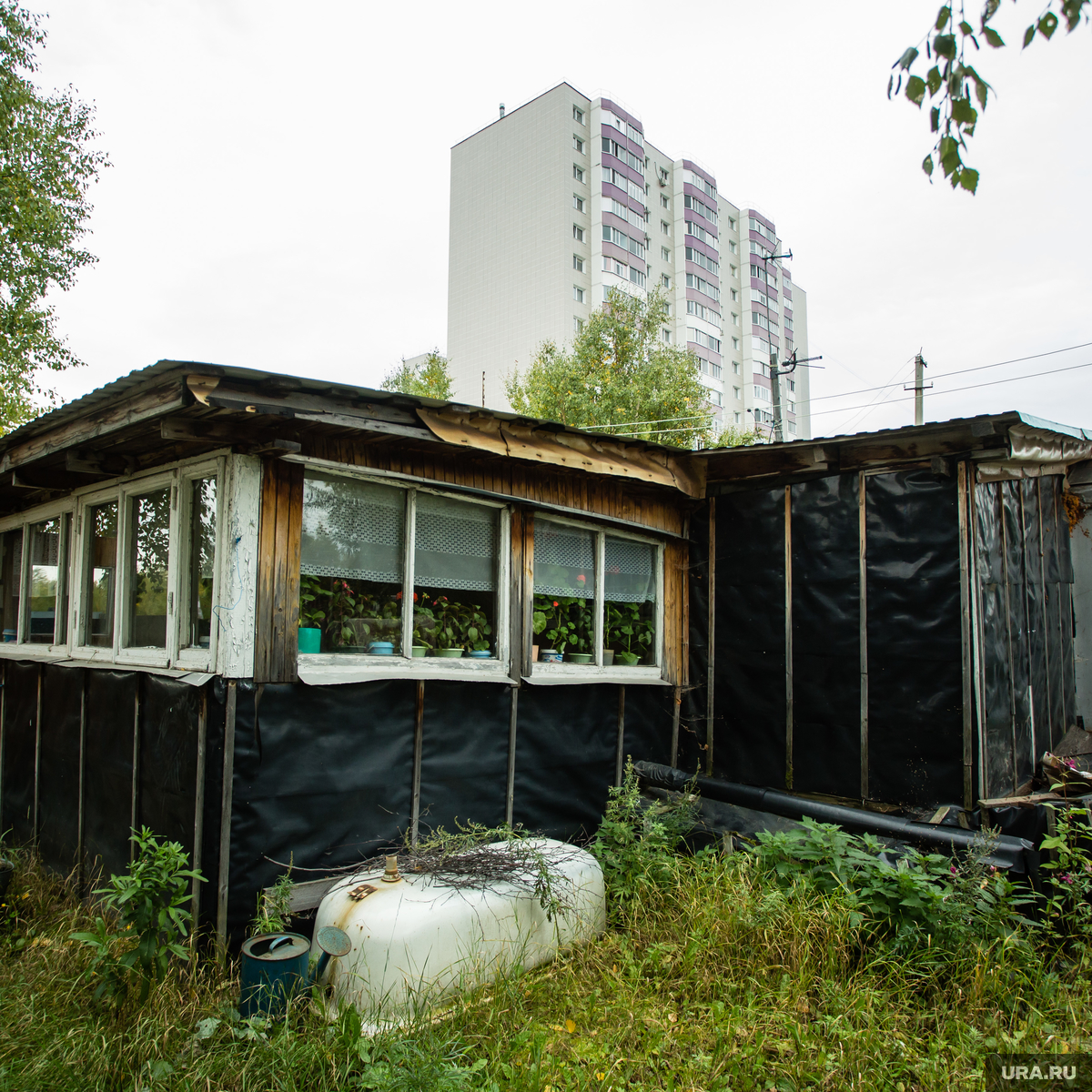 Как живут трущобы богатейшего города России. Фоторепортаж. В Сургуте  включают плиту, чтобы согреться, от крыс спасают кошки, а туалеты — на  улице — URA.RU