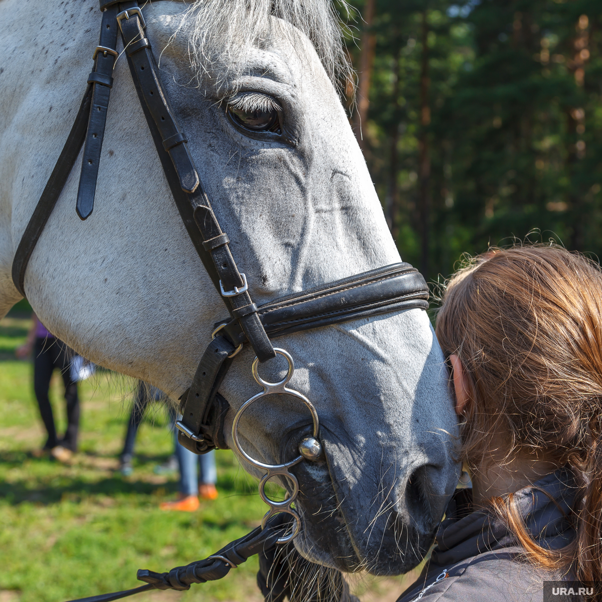 Как сделать уздечку для лошади своими руками