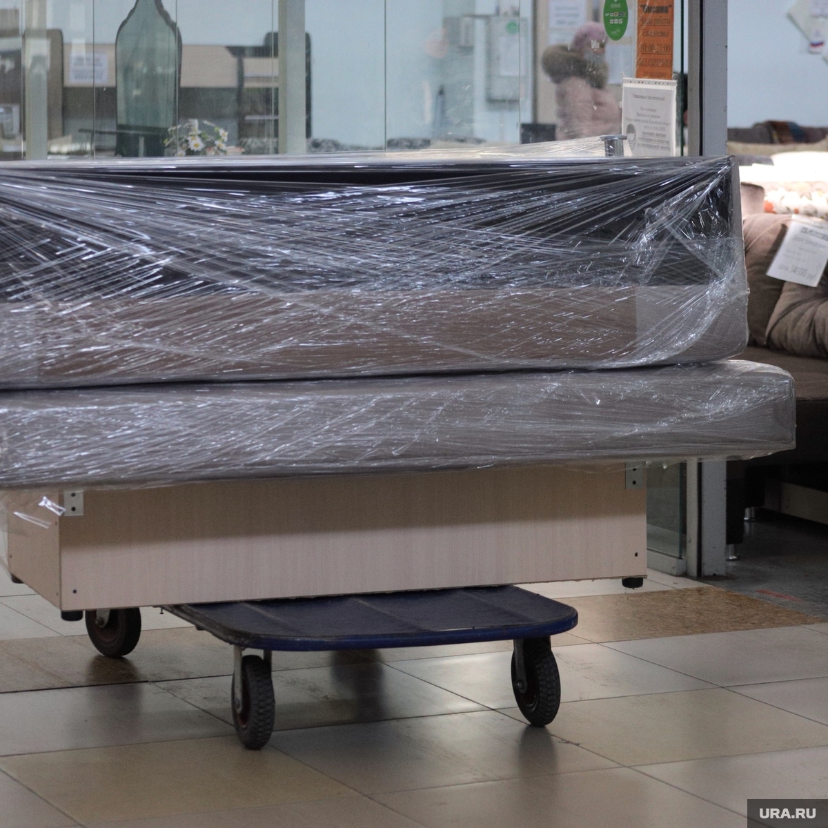 Sealy eloise deals twin mattress