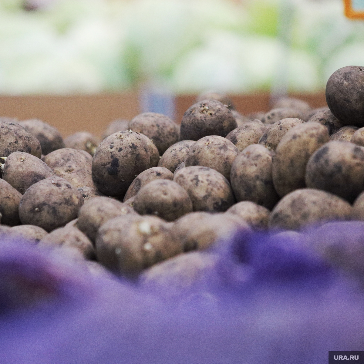 Курганцам продают голландскую картошку из Тюмени и Екатеринбурга