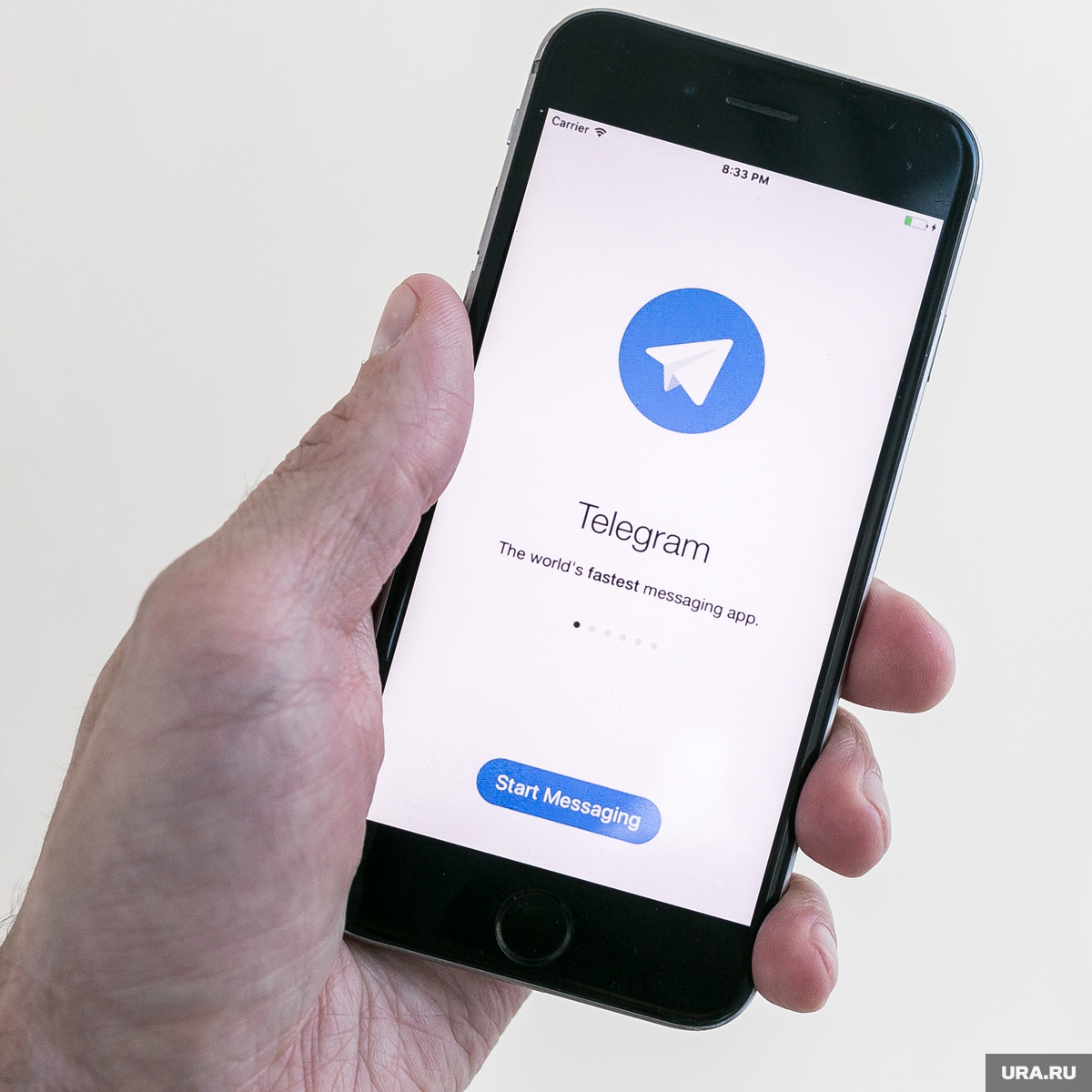 В Пермском крае запустили telegram-бот для сообщений о пьяном водителей