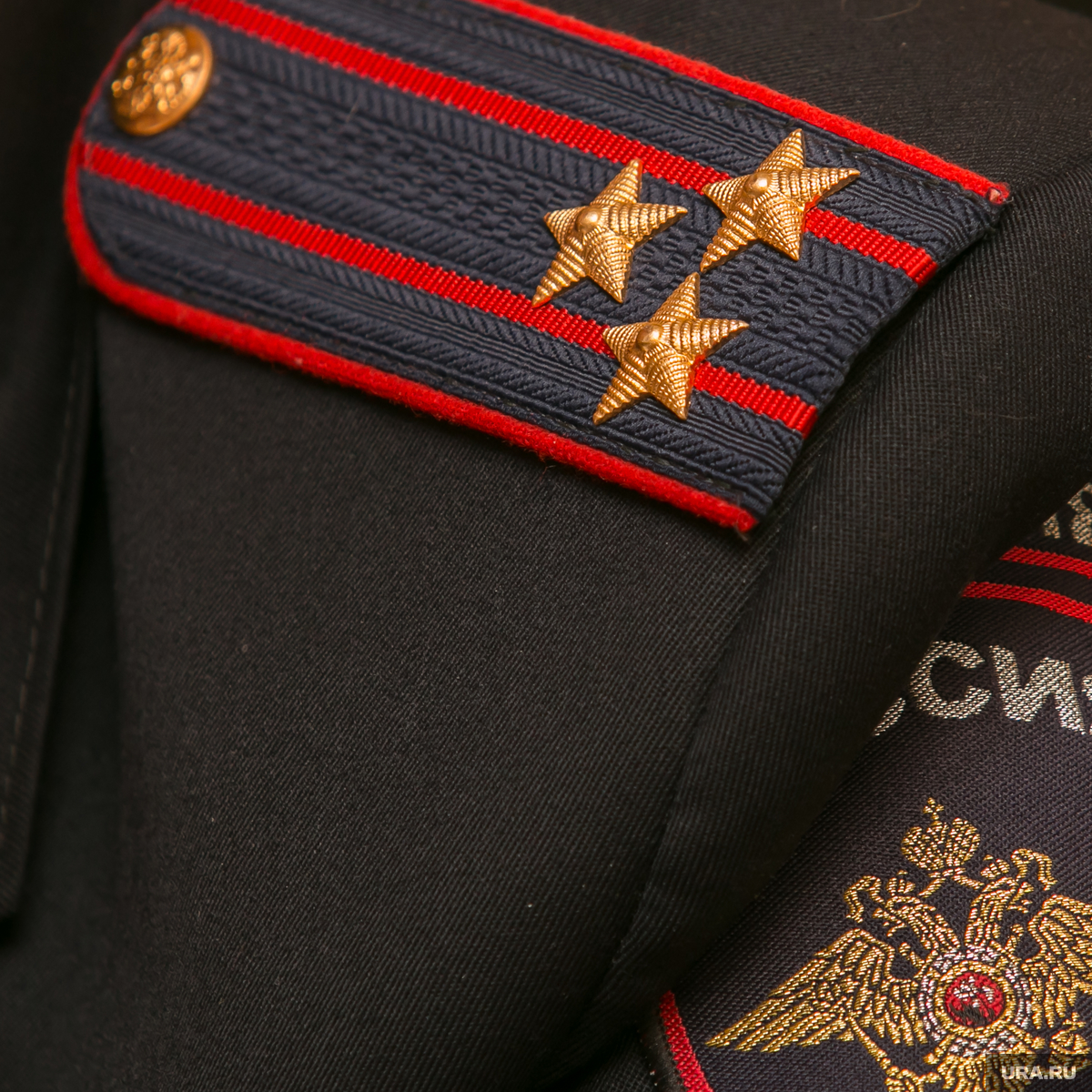 Кадровые перестановки в УМВД Курганской области: назначен новый главный по  мигрантам