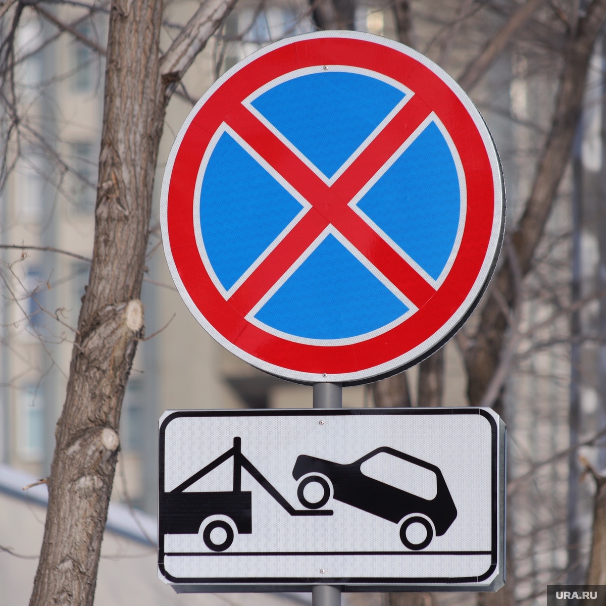 Запрет на остановку и стоянку автомобилей ввели в Кургане: апрель 2024  года: адреса