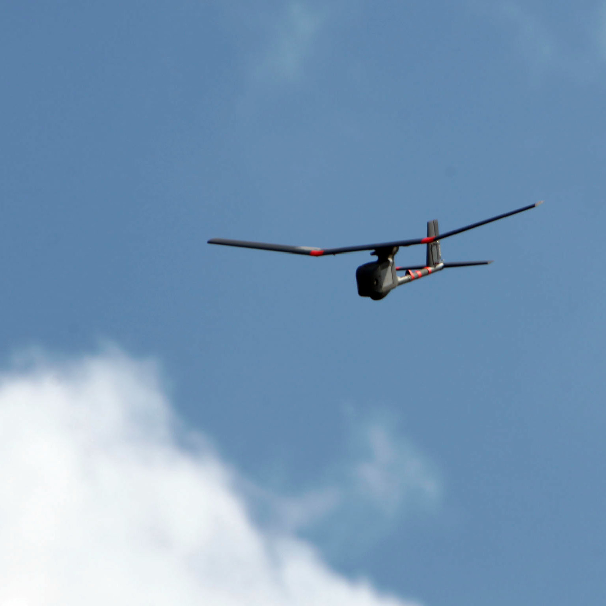 ����������� 2024 �������