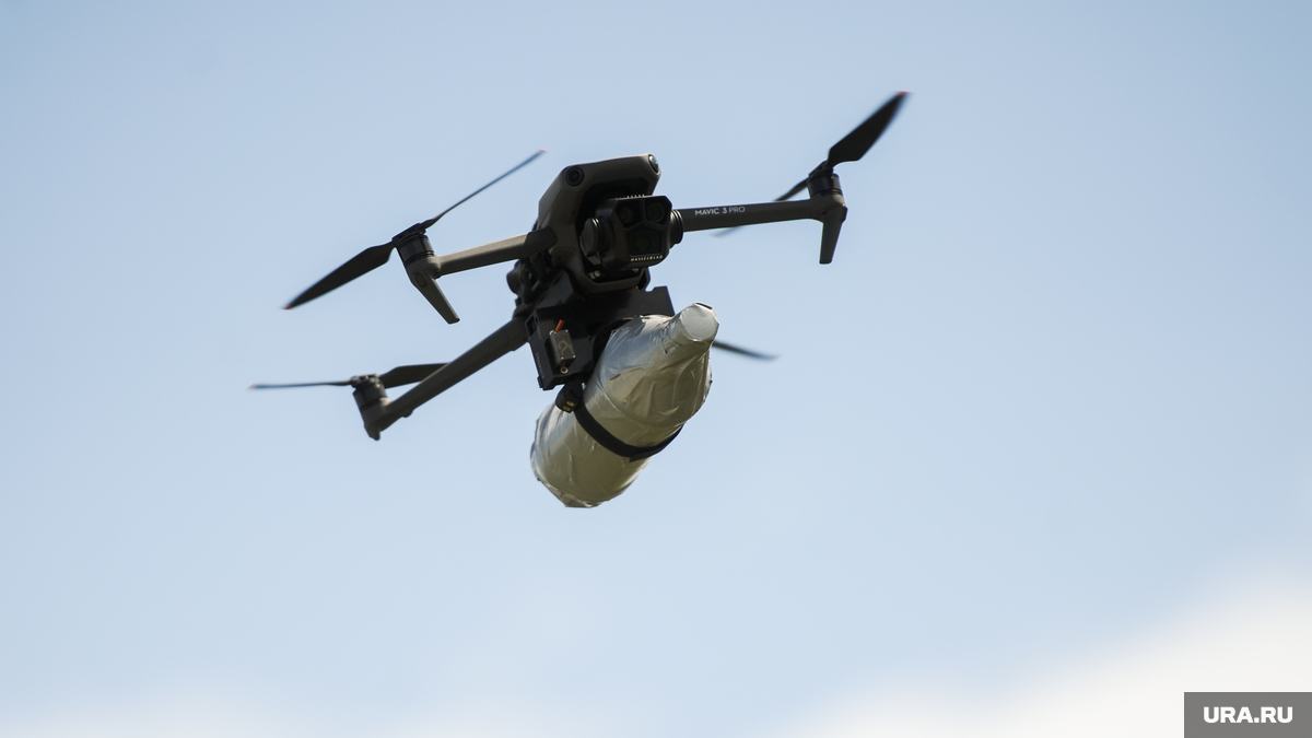 ����������� ������� ����