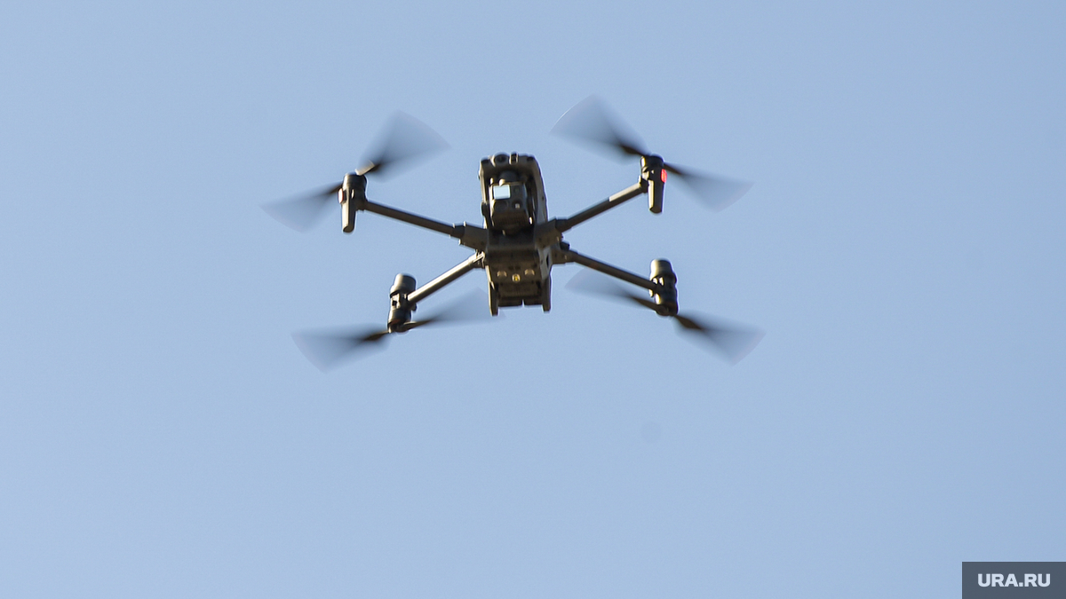 ����������� 10 ������