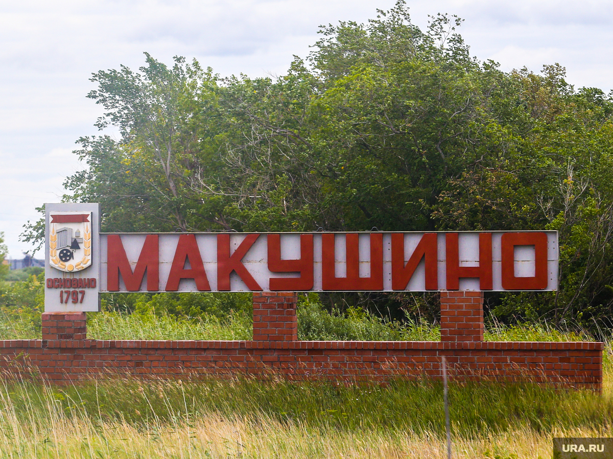 Купить Дом В Макушино Курганской