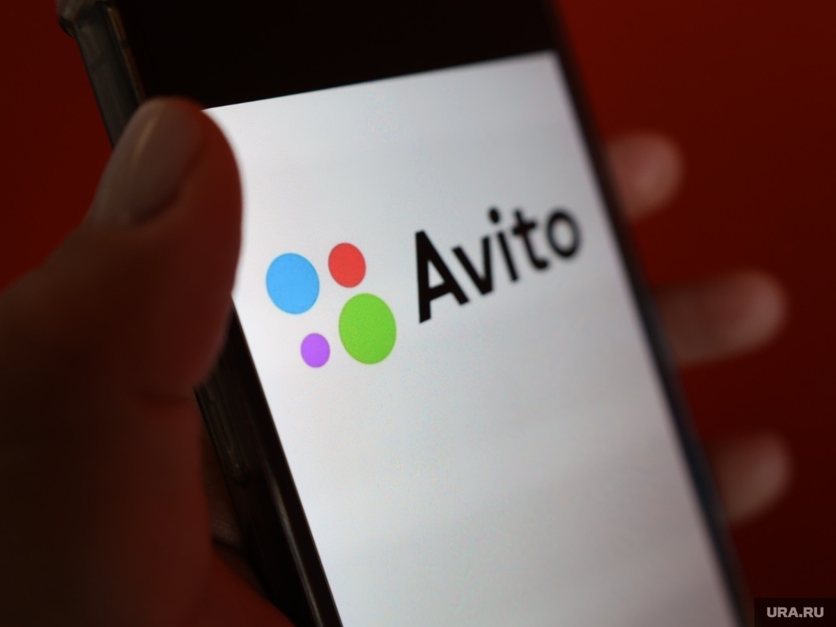 Самозанятым россиянам раскроют секреты продвижения на «Авито»