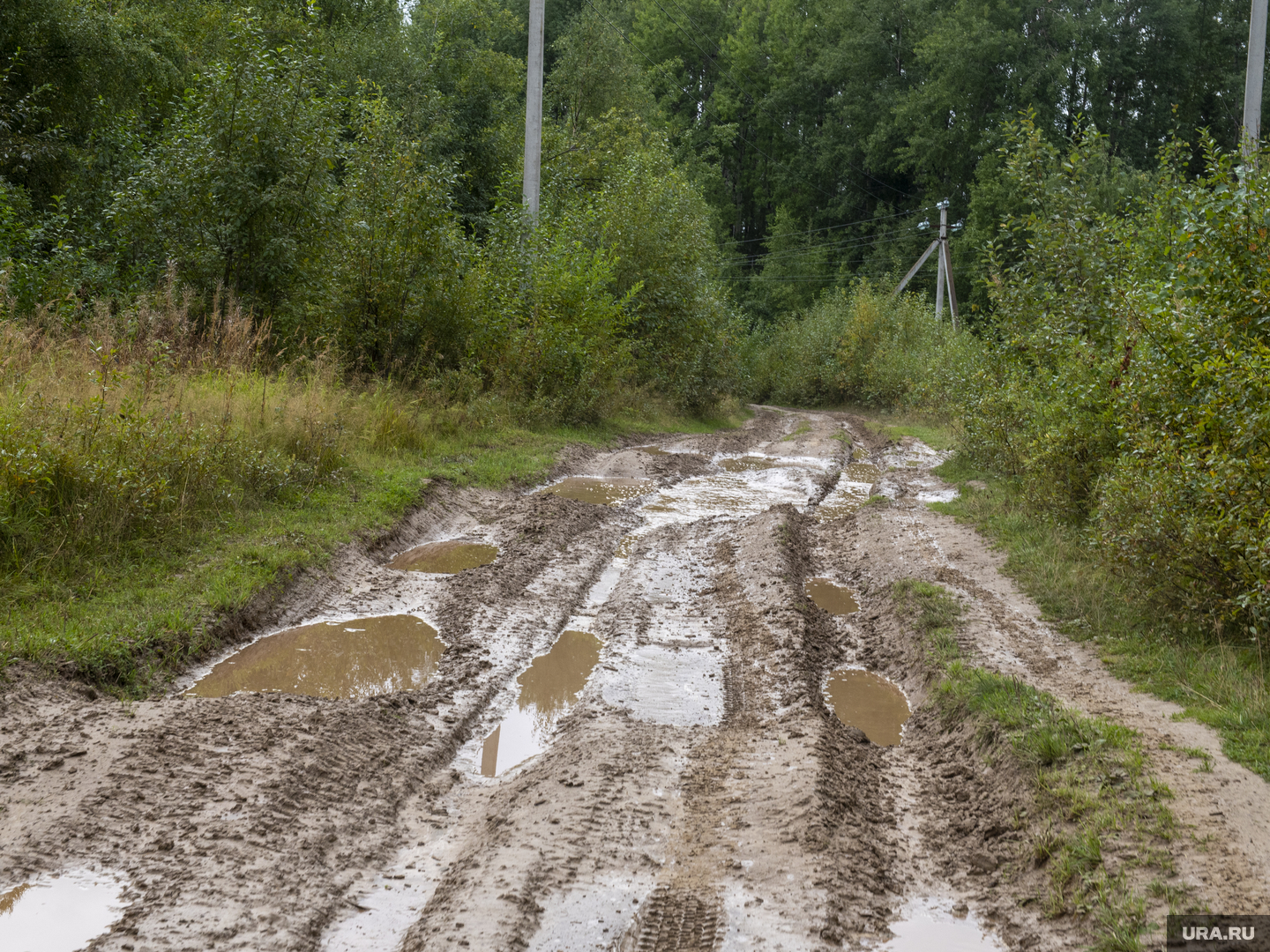 Фото сломанной автодороги в лесу