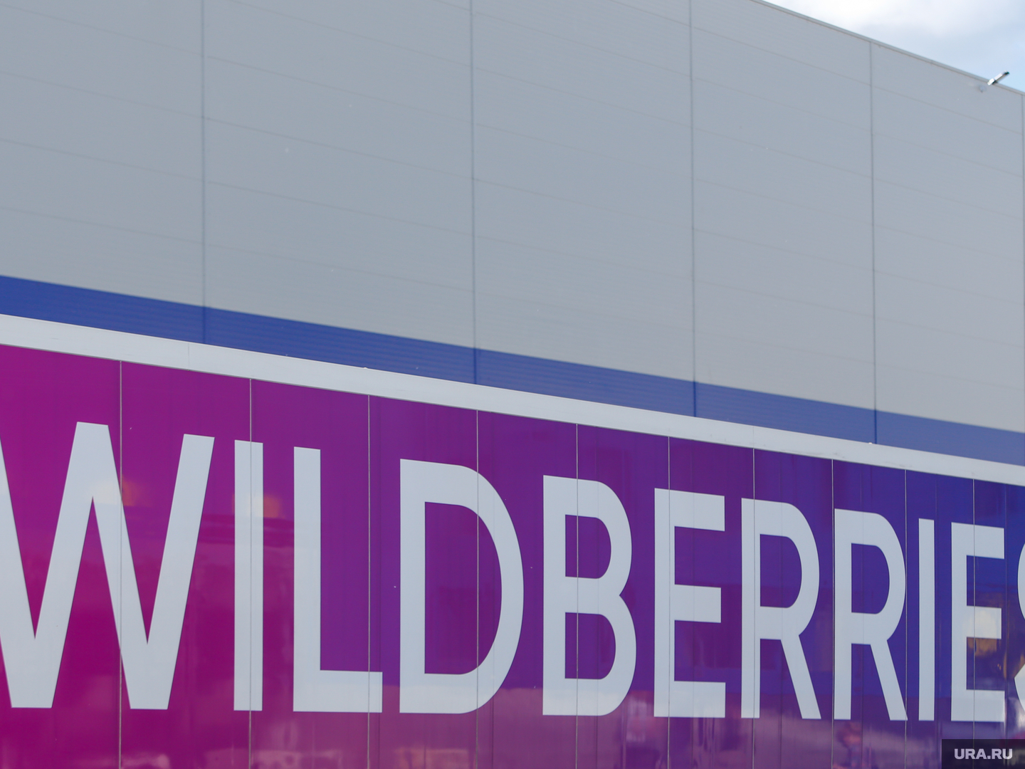 Wildberries предложили закрыть: причина в работниках, нелегальные мигранты