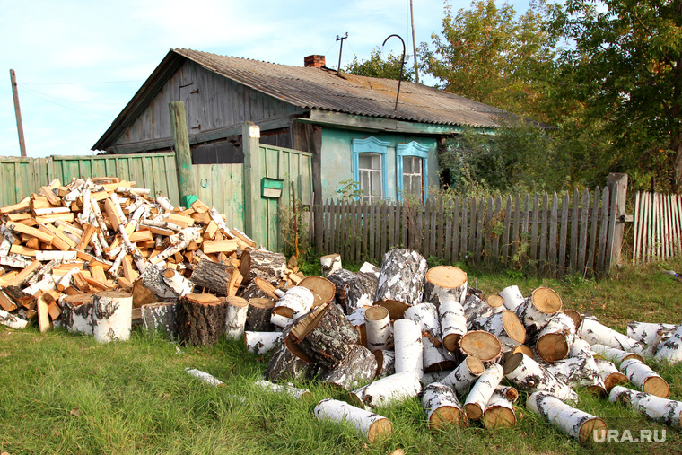 Сельских бюджетников обещают обеспечить дровами по доступной цене