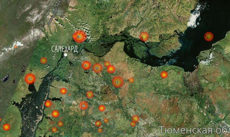Красными кругами на интерактивной карте обозначены действующие природные пожары.