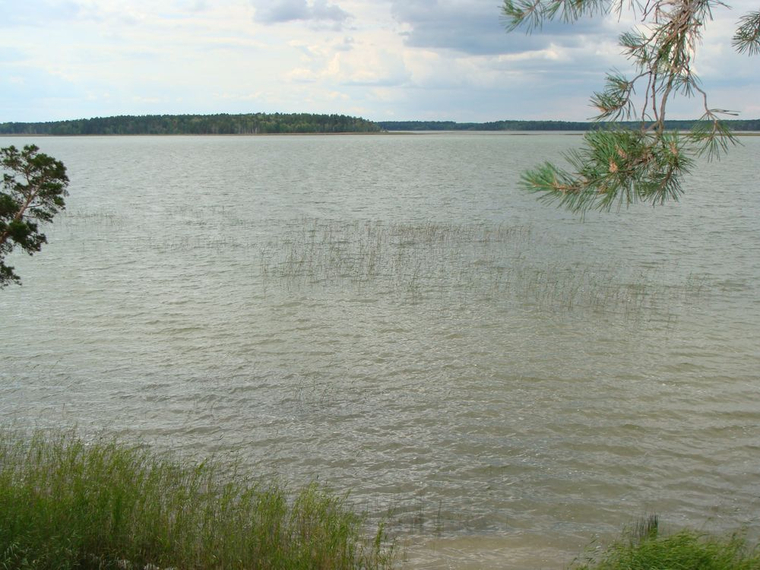 Учреждение стоит на берегу озера Окуневское