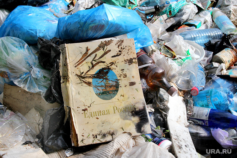 Вырубка леса  КГСХА Курганская область, единая россия, свалка мусора, книга на помойке