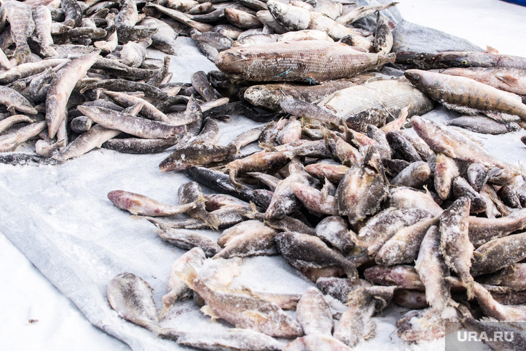 Рыбаки продают свой улов, в том числе и нелегальный, прямо на городских улицах