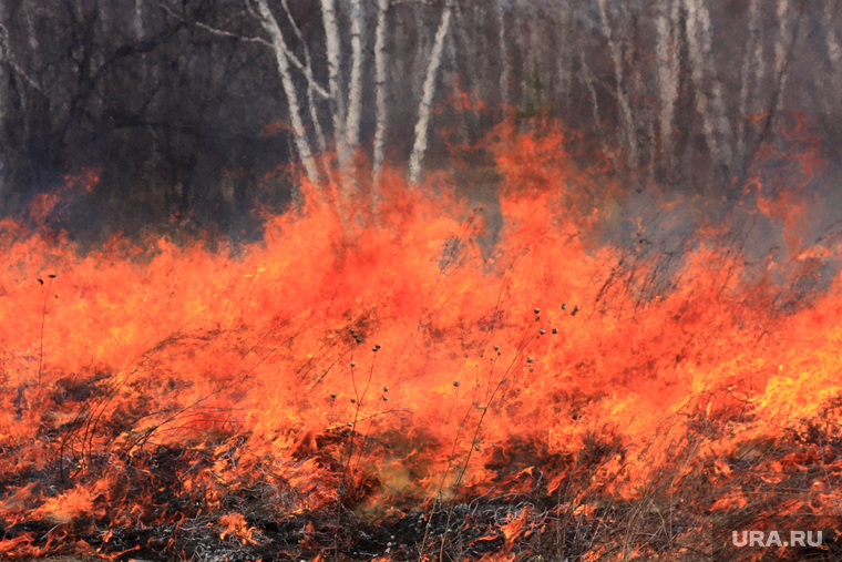 В 2013 году лесные пожары на Ямале уже преподали региону печальный урок. После этого работа по их предупреждению стала более качественной