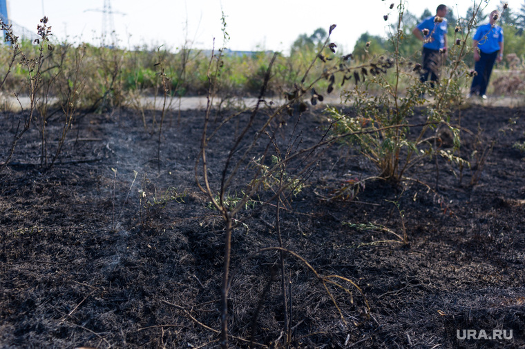 Из-за выброса расплавленного масла земля оказалась выжженной на десятках квадратных метров