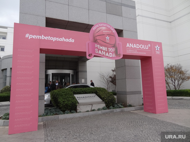 Розовая арка — в честь дня борьбы с раком молочной железы