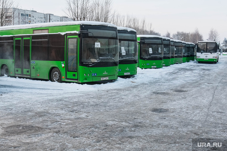 На улицах Екатеринбурга останутся только крупные и средние автобусы