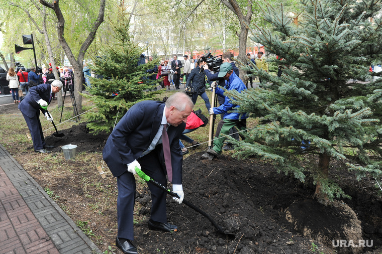 Тефтелев обещает масштабную программу озеленения Челябинска