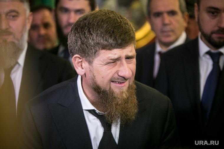 «Лучше бы он, наверное, у Кадырова пил чай»