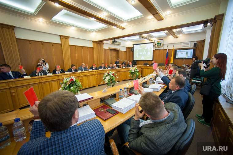 Михалкова согласна, что отчасти депутатам мешает работать принадлежность к политическим кланам