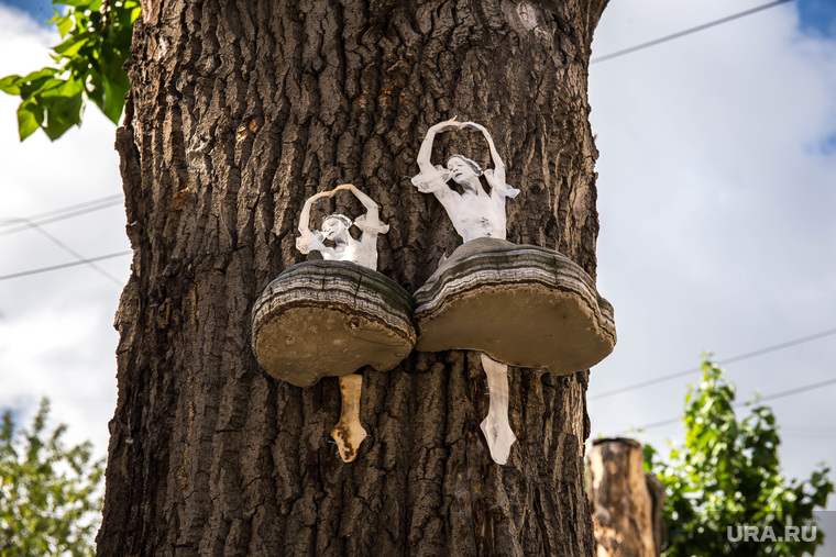 Балерины на деревьях. Екатеринбург