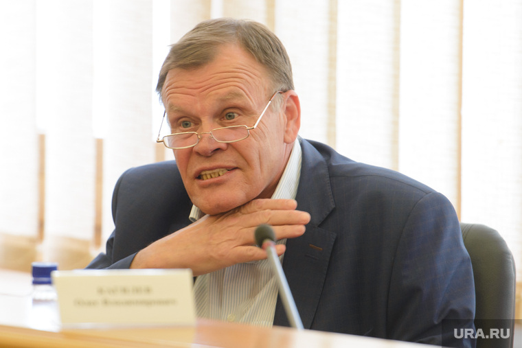 Владимир Крицкий снова возглавит комиссию по городскому хозяйству