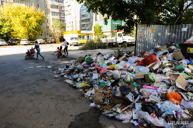 Ассоциация перевозчиков винит в мусорном коллапсе чиновников