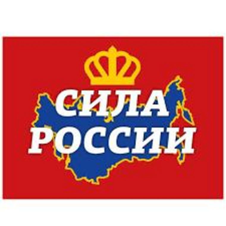 Так выглядит логотип создаваемой партии «Сила России»