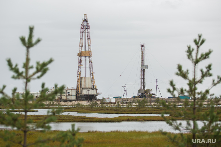 Завод все-таки построят — на выделенных под добычу нефти участках земли