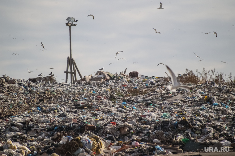 В ХМАО проблемы не только с вывозом мусора, но и с утилизацией — региону нужны 5 новых полигонов ТБО