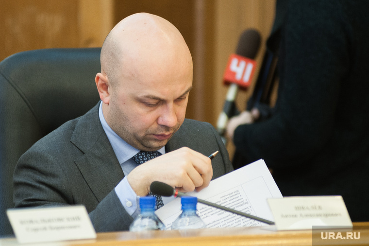 Депутат Антон Швалев