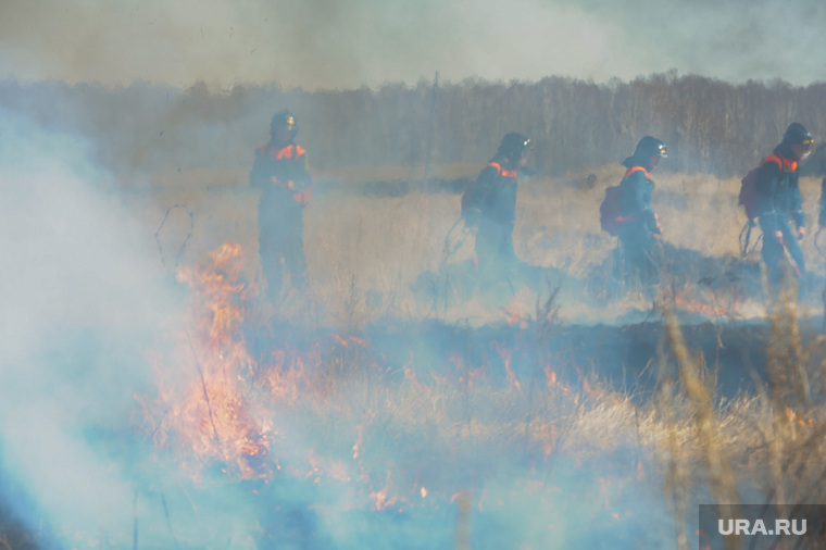 Лесные пожары из-за бесконтрольного сельскохозяйственного пала травы — одна из главных головных болей челябинских спасателей летом