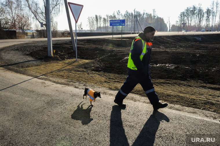 Дорожные рабочие, готовясь к визиту губернатора Бориса Дубровского, даже свою собаку Шпонку нарядили в спецодерду