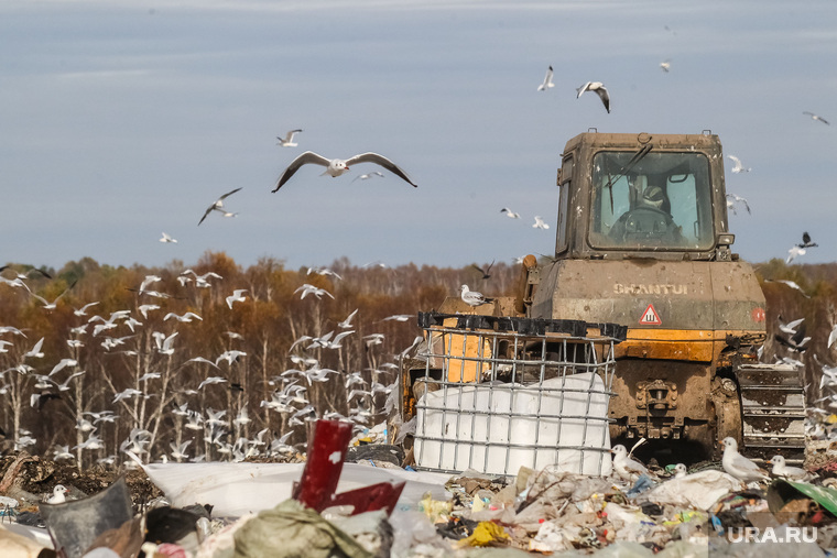 Протесты против переработки московского мусора в Архангельской области начались в регионе еще осенью 2018 года