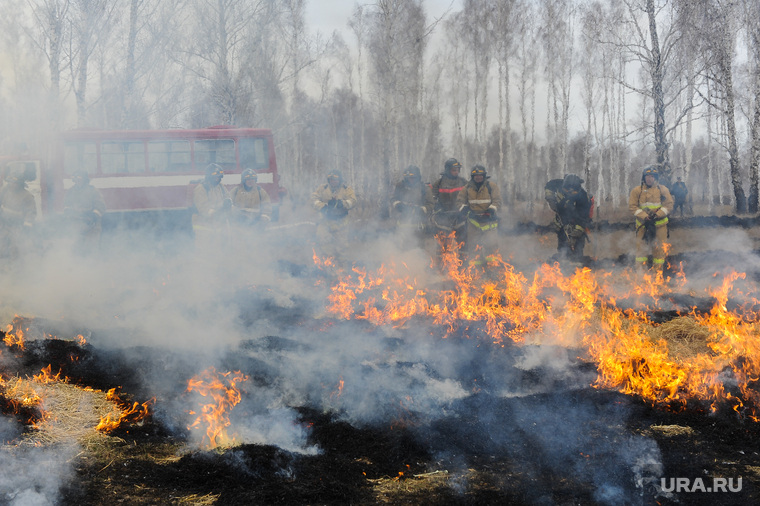 Совместные учения МЧС Челябинской и Курганской областей по тушению лесных пожаров. Челябинск